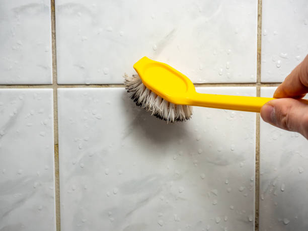 Best Mold Removal Process  in Kentfield, CA