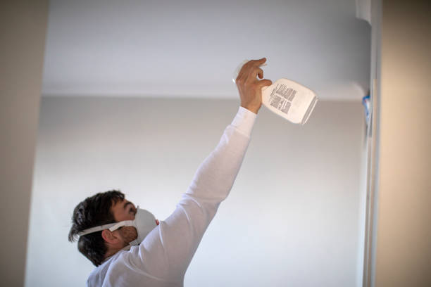 Best Commercial Mold Removal  in Kentfield, CA