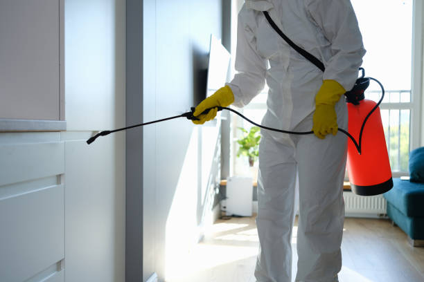 Best Mold Removal Company Near Me  in Kentfield, CA
