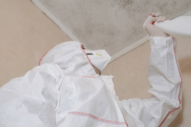 Best Mold Removal Near Me  in Kentfield, CA