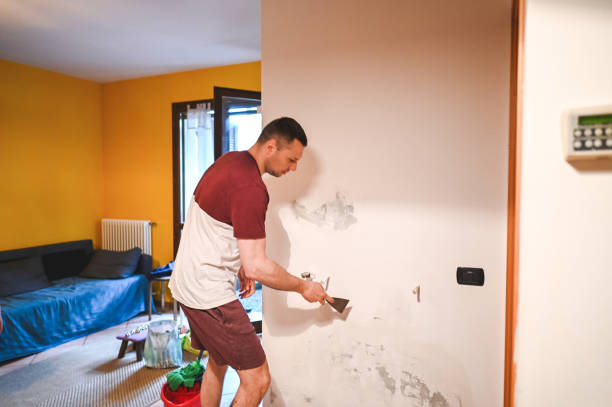 Best Mold Testing  in Kentfield, CA