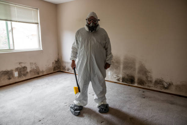 Best Black Mold Removal  in Kentfield, CA